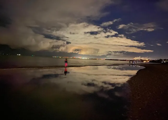 Seaview Octopus Sopot