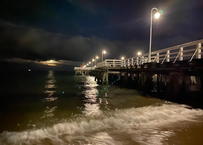 Seaview Octopus Sopot