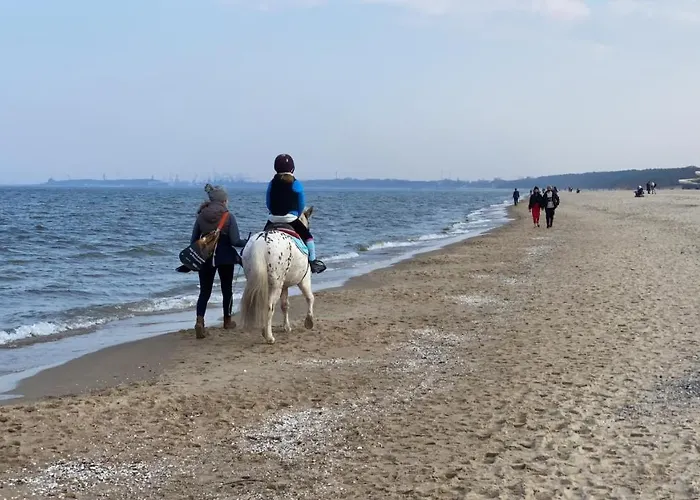 Seaview Octopus Apartament *