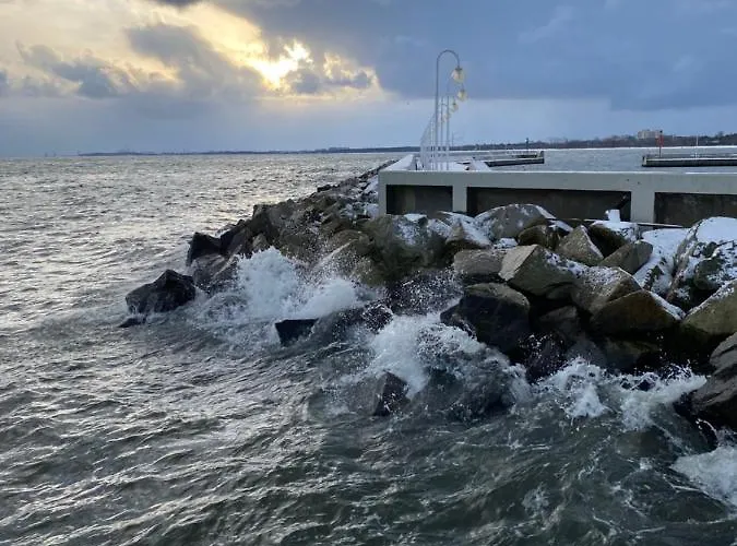 Seaview Octopus Sopot