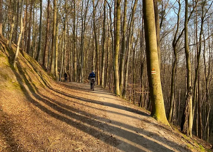 Seaview Octopus Apartament