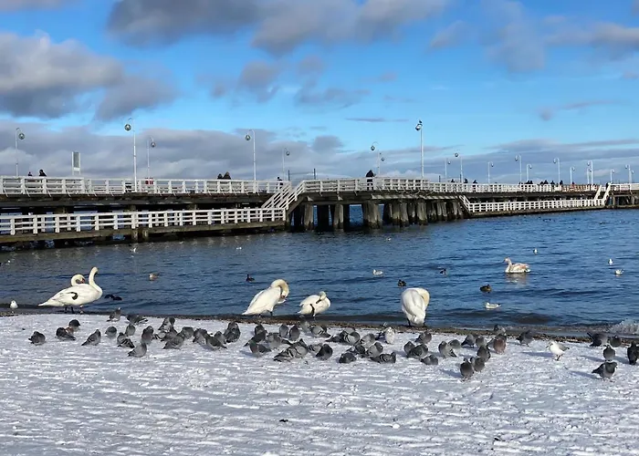 Apartament Seaview Octopus