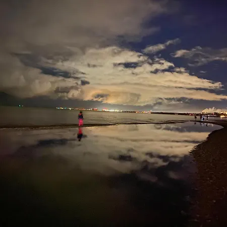 Seaview Octopus Сопот