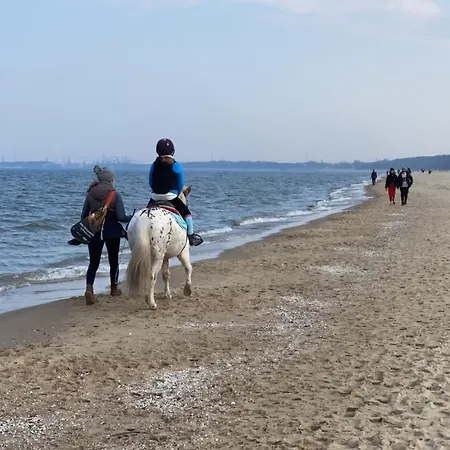 Seaview Octopus شقة *