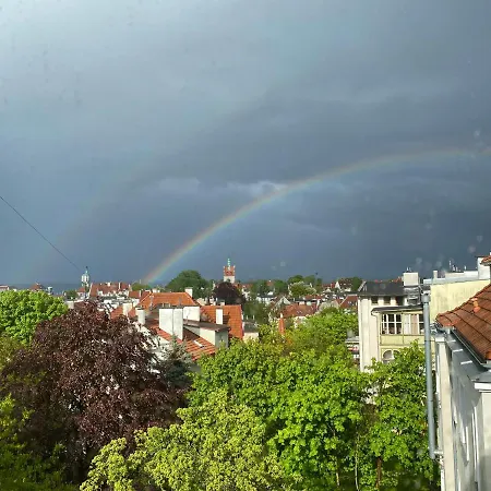 Seaview Octopus * سوبوت