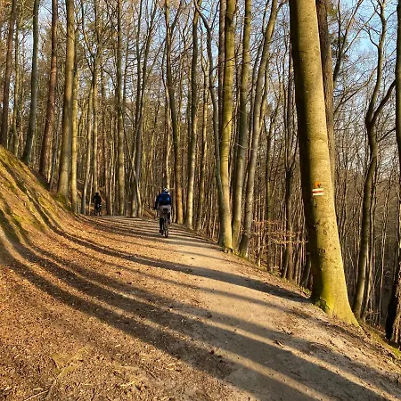 Seaview Octopus Апартаменты