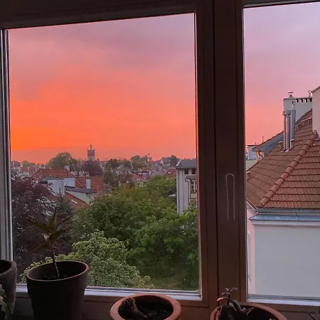 Апартаменты Seaview Octopus