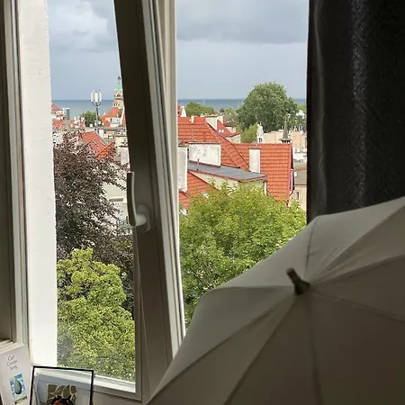 Апартаменты Seaview Octopus